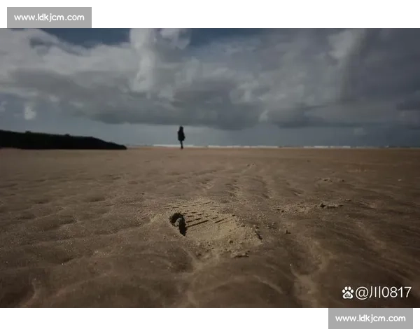 一盏旧灯照亮童年与勇气成长的奇妙旅程在风雨中寻找希望与自我